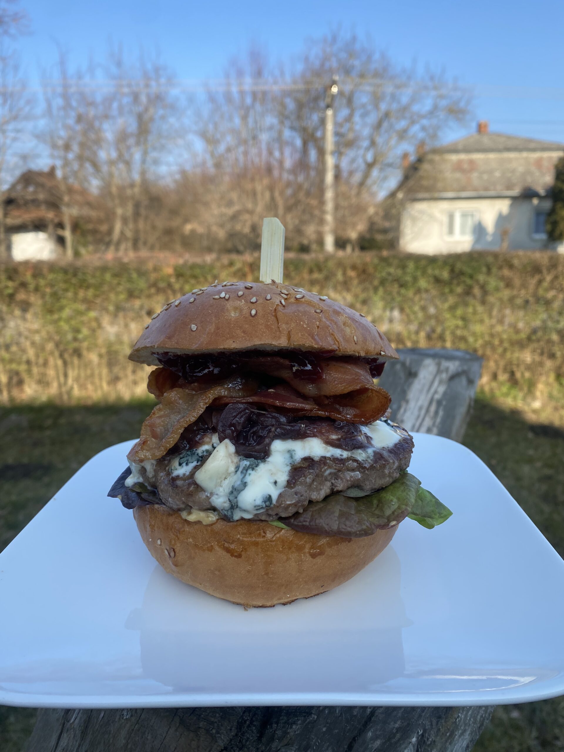 Mega burger